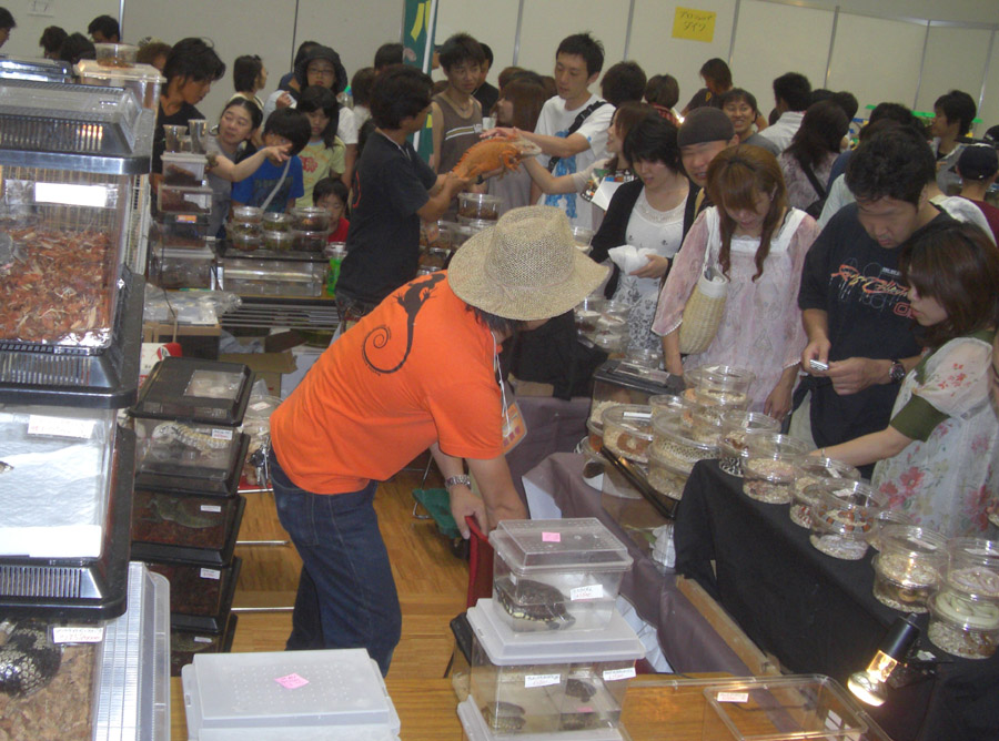 レプタイルズフィーバー潜入レポ エンドレスゾーン