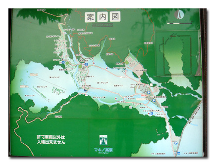 f0090964_89253.jpg