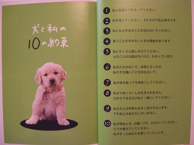 犬と私の10の約束_d0116574_1392061.jpg