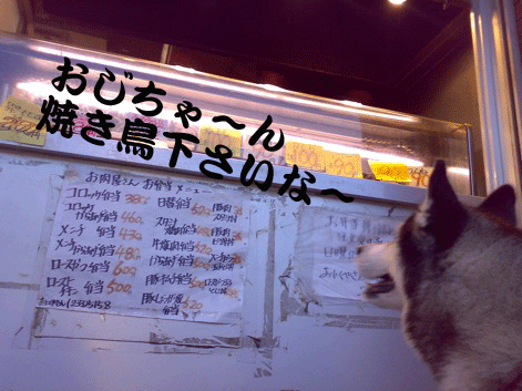 d0087675_16365812.gif