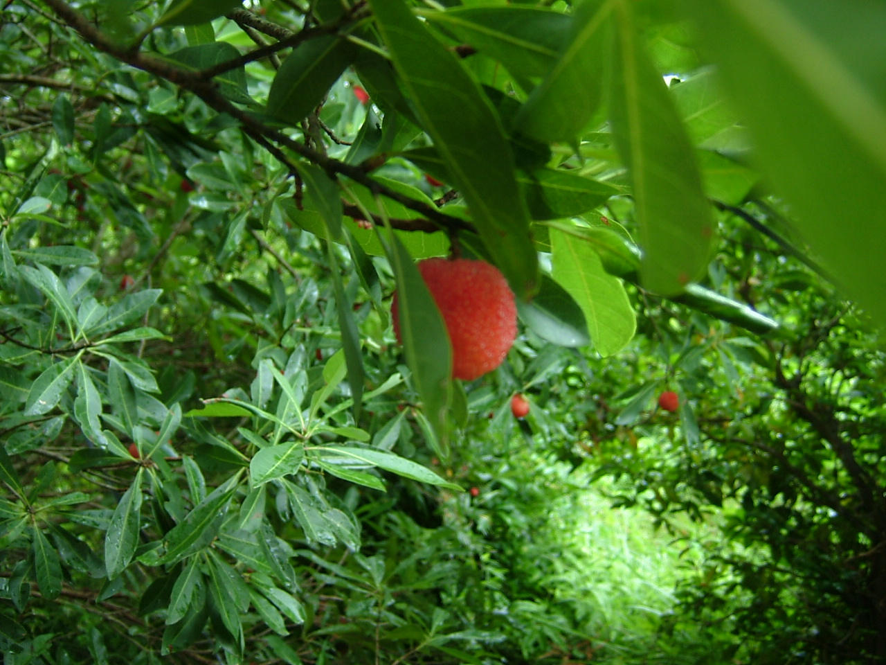 b0065678_87579.jpg