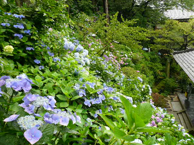 a0053598_22113728.jpg