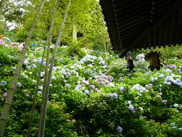 a0053598_22174630.jpg