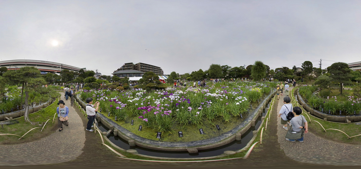 Horikiri Shobuen 2_d0108602_9361074.jpg