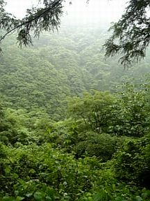 c0084506_11124100.jpg