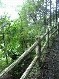 c0084506_1114518.jpg