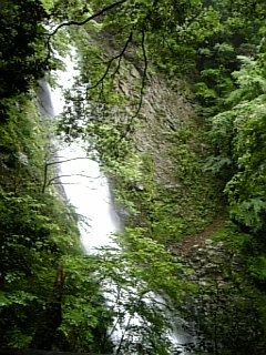 c0084506_11145670.jpg