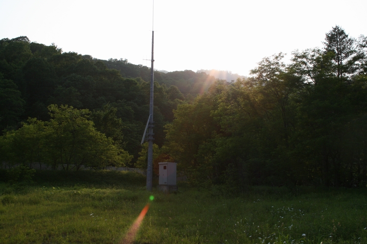 d0119909_1043354.jpg
