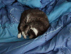 f0128215_48598.jpg