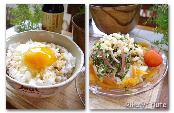 びわとお豆腐のサラダと卵かけご飯 の朝ごはん_c0103827_13215342.jpg