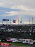 b0000829_11108.jpg