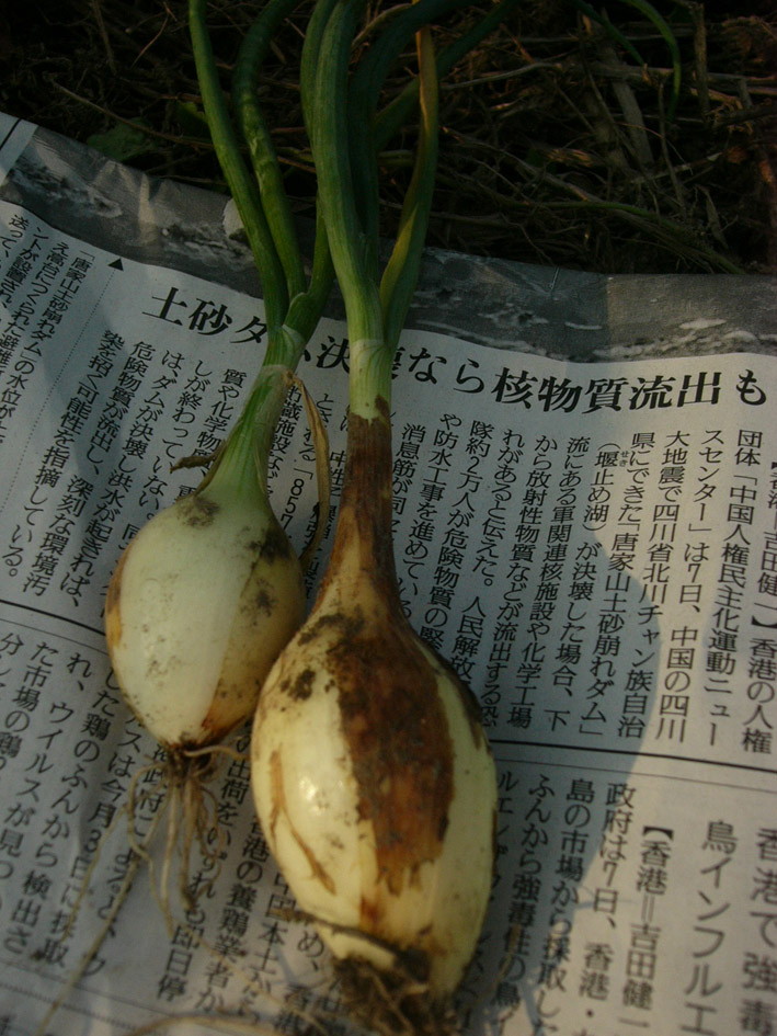 f0124729_18214152.jpg
