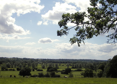f0165831_5291891.jpg
