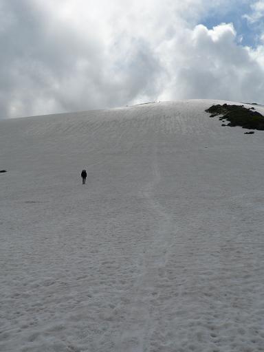 静かな山を満喫・花の月山_f0118332_23192010.jpg