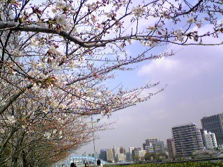 b0152234_22455325.jpg