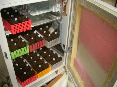 c0025140_08748.jpg