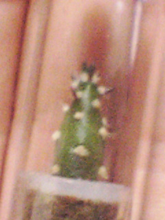 f0099140_23411347.jpg