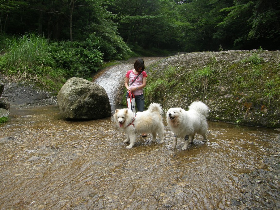 四国旅行　滑川編_f0128542_057157.jpg