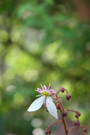 e0126350_224993.jpg