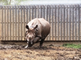 孫は動物園が好き_d0075453_150394.jpg