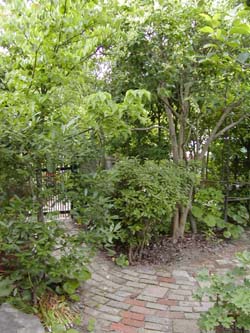 f0168256_85356.jpg