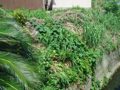 c0108460_2082448.jpg
