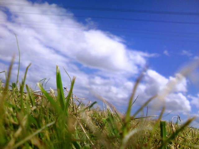 f0148660_10441279.jpg