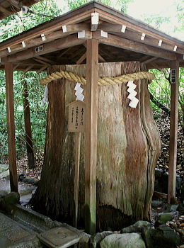 ■ 杉玉のルーツを探す旅に出てみた。 ［大神神社編］_f0173161_1593148.jpg