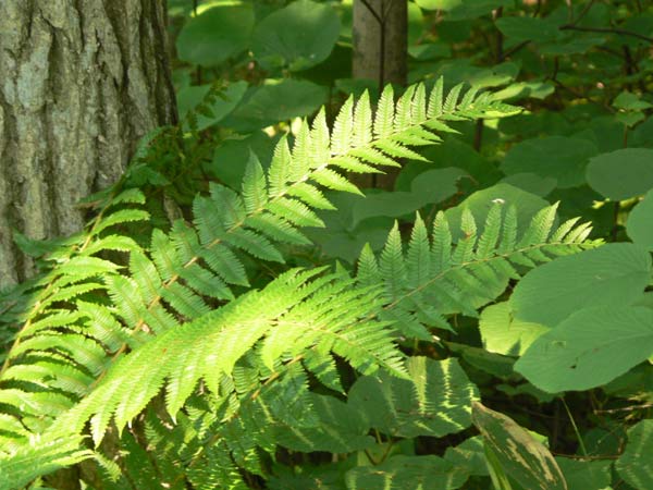 b0068572_23242768.jpg