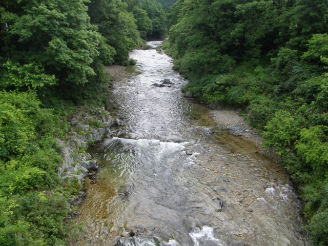 d0134473_92649.jpg