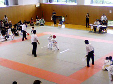 d0046176_220479.jpg