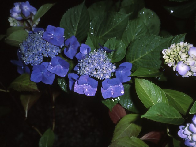 b0074377_0165120.jpg
