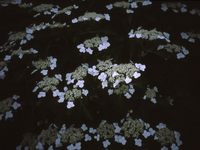 b0074377_0183133.jpg