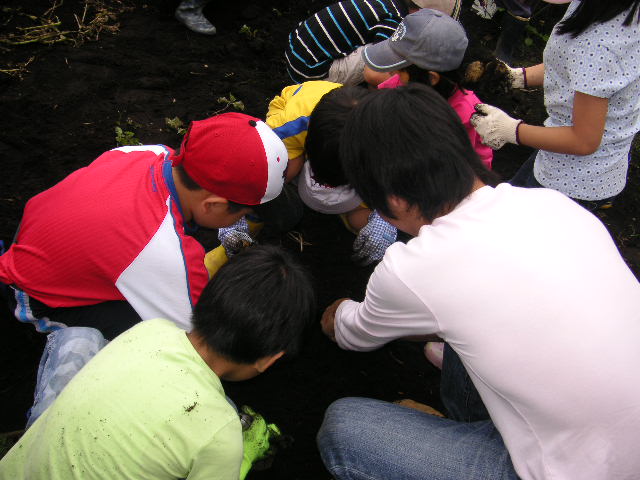 d0116891_16483837.jpg