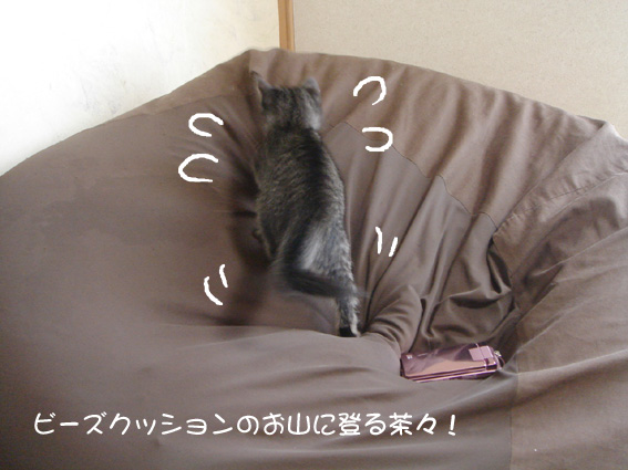 d0071596_9554497.jpg
