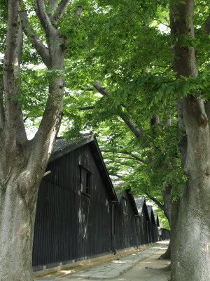 　酒田名所「山居倉庫」・・・裏　_b0111004_16184.jpg