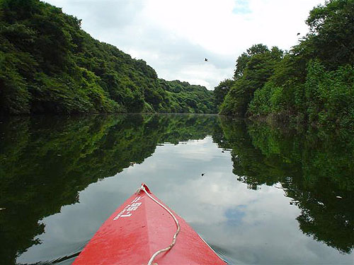 c0137404_22572442.jpg