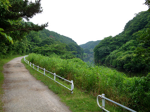 花見川サイクリングコース_c0137404_2311254.jpg