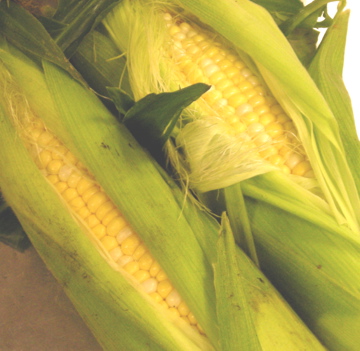 夏野菜を求めて_c0130206_13212.jpg