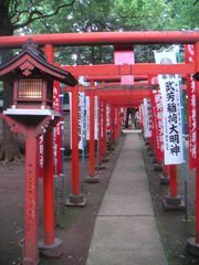 b0112009_857554.jpg