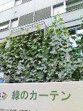 f0164410_21535197.jpg