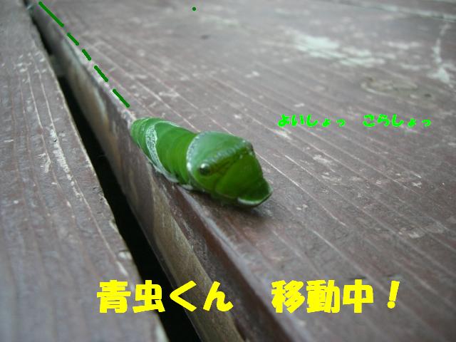 b0137913_2123790.jpg