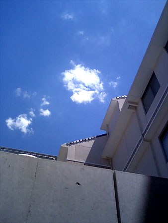 the blue sky_c0120913_17511142.jpg