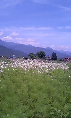 c0047814_12213491.jpg