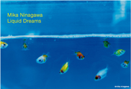 蜷川実花 六本木ヒルズ アート デザインストア スペースa D Tomio Koyama Gallery 東京 Singapore 8 Art Gallery