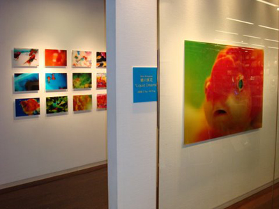蜷川実花 六本木ヒルズ アート デザインストア スペースa D Tomio Koyama Gallery 東京 Singapore 8 Art Gallery