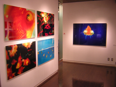 蜷川実花 六本木ヒルズ アート デザインストア スペースa D Tomio Koyama Gallery 東京 Singapore 8 Art Gallery