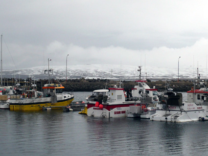 北部アクレイリ5月の雪！：ソトコト、アイスランド取材裏話　取材9日目_c0003620_13261418.jpg