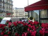 c0055324_8261629.jpg