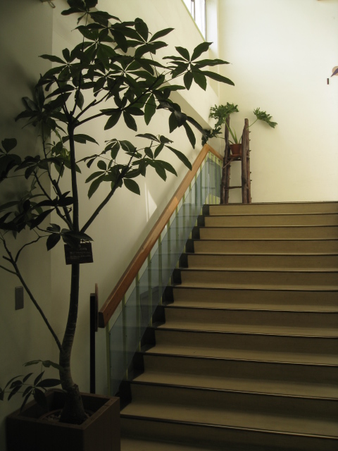 (独)相模原病院_c0102228_10442986.jpg